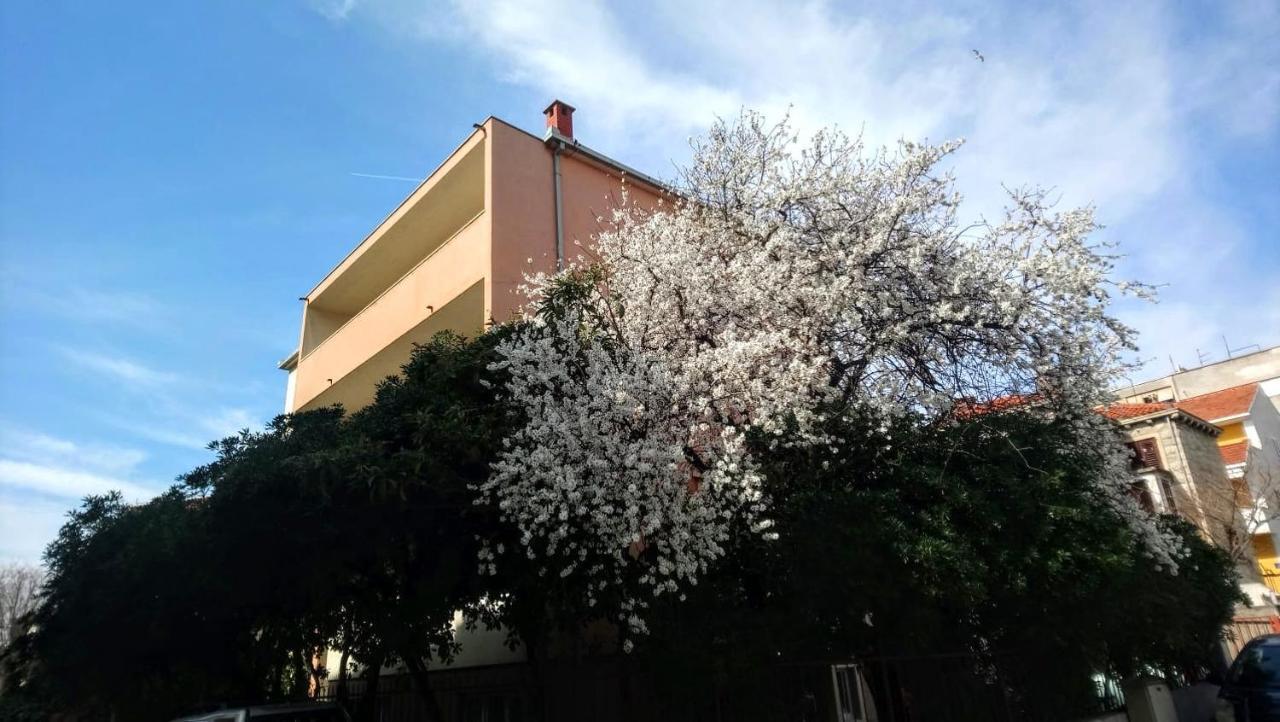 Split Symphony Veranda: Modern, New Apartment Exterior photo